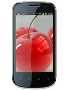 Best available price of Celkon A19 in Israel