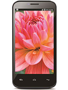 Best available price of Lava Iris 505 in Israel