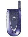 Best available price of Motorola V66i in Israel